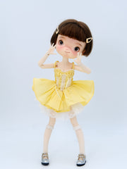 Swan Tutu Lace Skirt