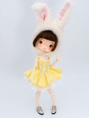Swan Tutu Lace Skirt